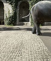 Domaniecki Teppich Pakpa mit Elefanten Hinterteil