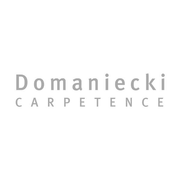 Logo von Domaniecki in grau