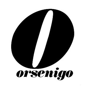Logo Orsenigo Italia